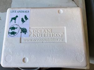 Axolotls shipping crate